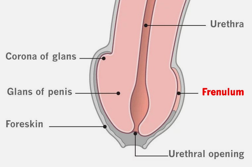 Different Masturbation Techniques